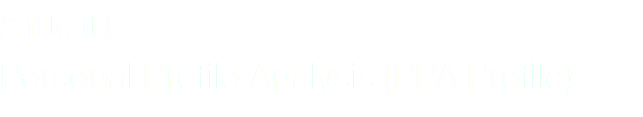 รายงาน Personal Profile Analysis (PPA Profile)